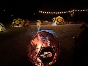 Custom fire pit / bowl with mesh spark screen