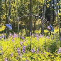 Outdoor metal art sculpture showing a salmon skeleton